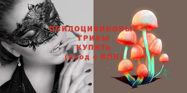гидропоника Пересвет