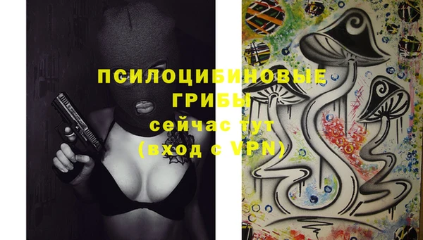 герыч Пестово