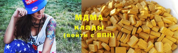 мдпв Инсар