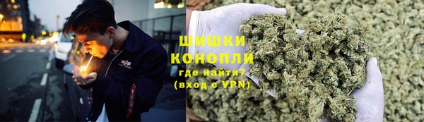 гидропоника Пересвет