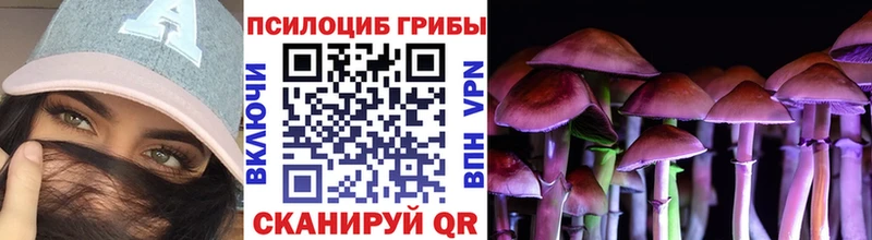 ссылка на мегу ссылка  Богородицк  Псилоцибиновые грибы Psilocybe 