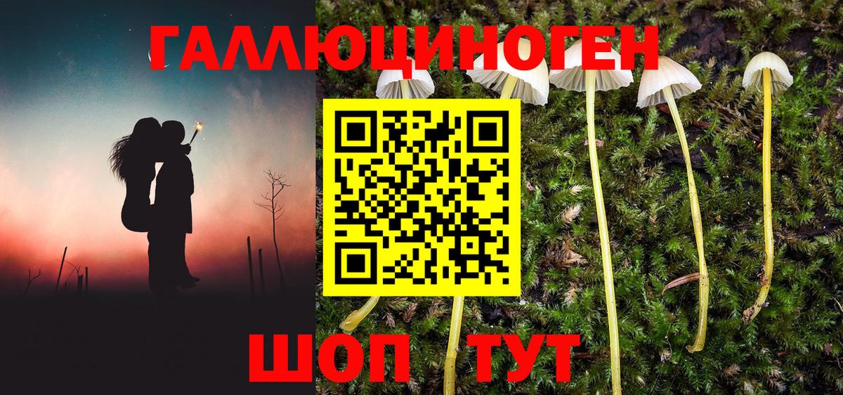Богородицк  Конопля  МЕФ кристаллы  Гашиш  Вход с VPN  Гашиш  COCAIN 