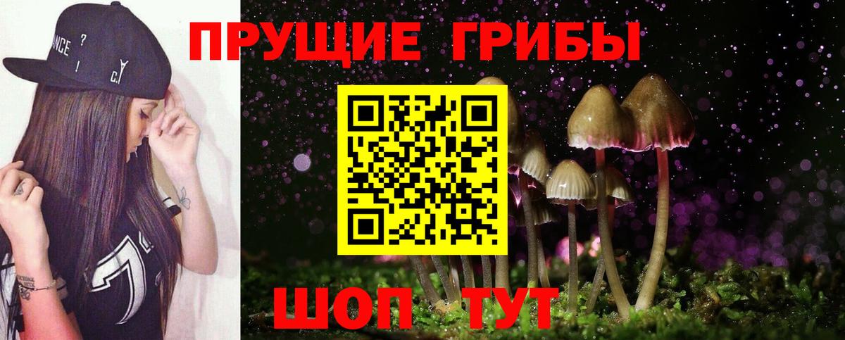 Псилоцибиновые грибы ЛСД Богородицк