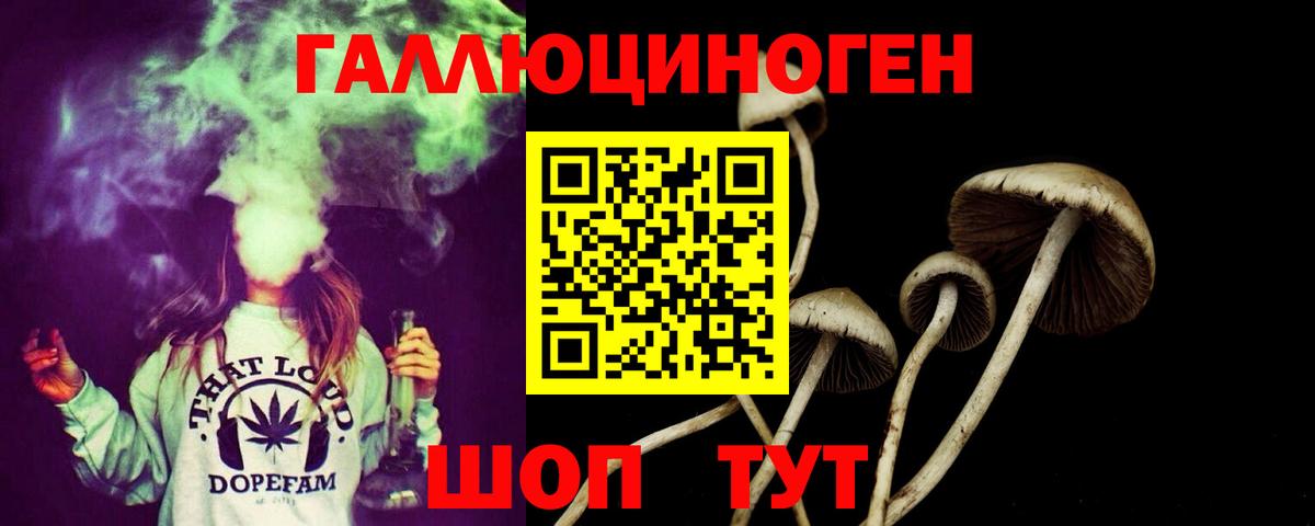 Псилоцибиновые грибы мицелий  Богородицк 